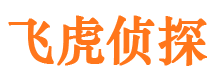 兴宾市侦探公司